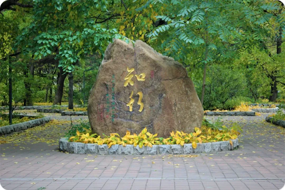 家长如何为孩子选择合适的篮球冬令营?_1